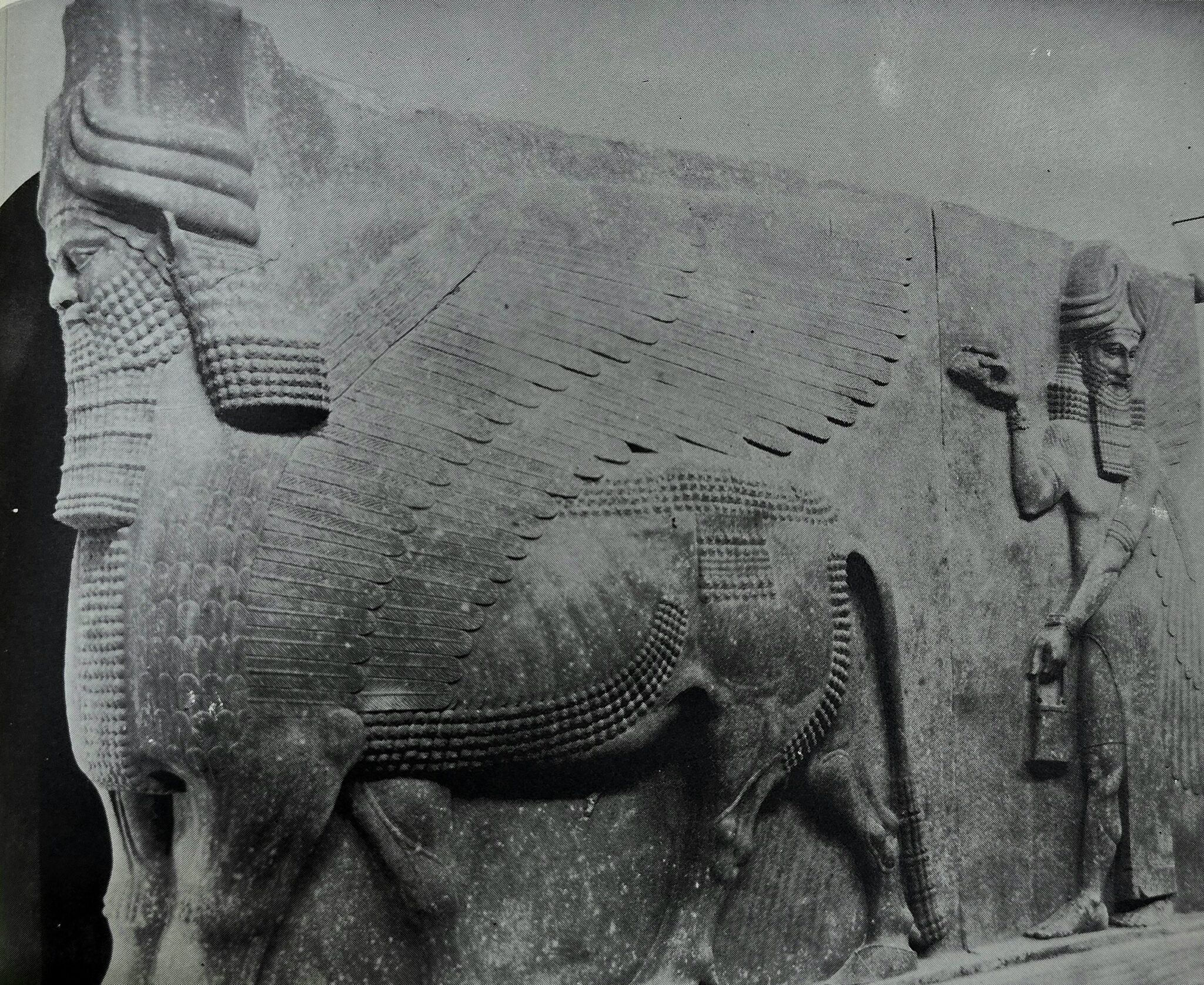 Lamassu bull statue guarding the palace, symbol of the Assyrian Empire at Nimrud, Iraq