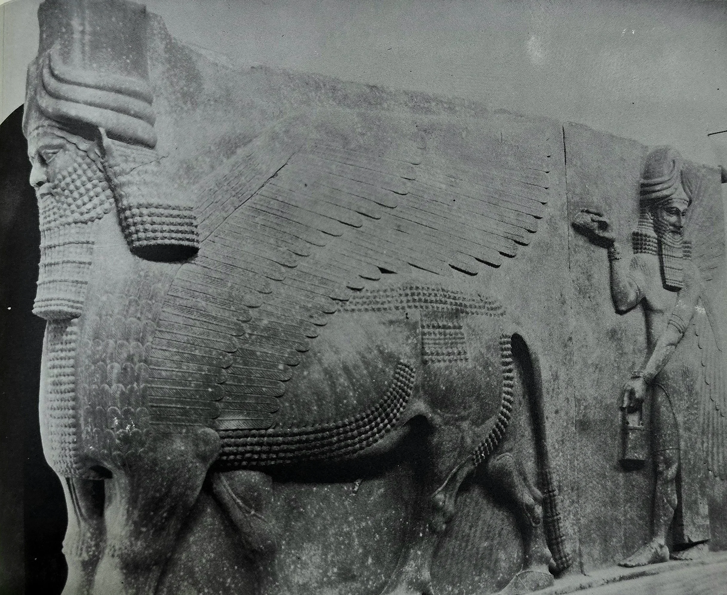 Lamassu bull statue guarding the palace, symbol of the Assyrian Empire at Nimrud, Iraq